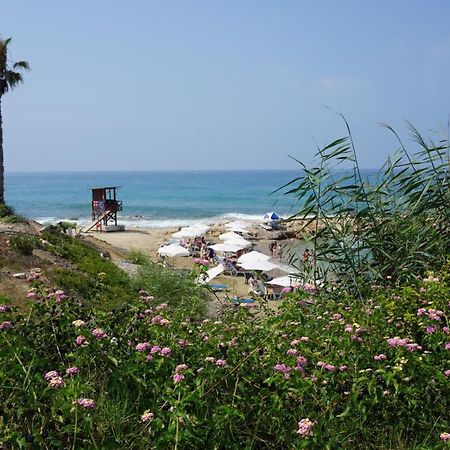 Limnaria Gardens Paphos, Near Beach Exterior photo